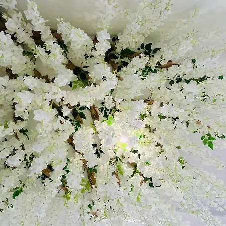 Evasion Romantique A Apartament Vichy